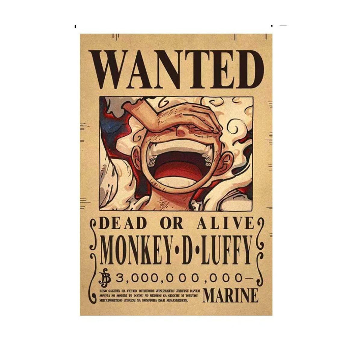One Piece Wanted Poster