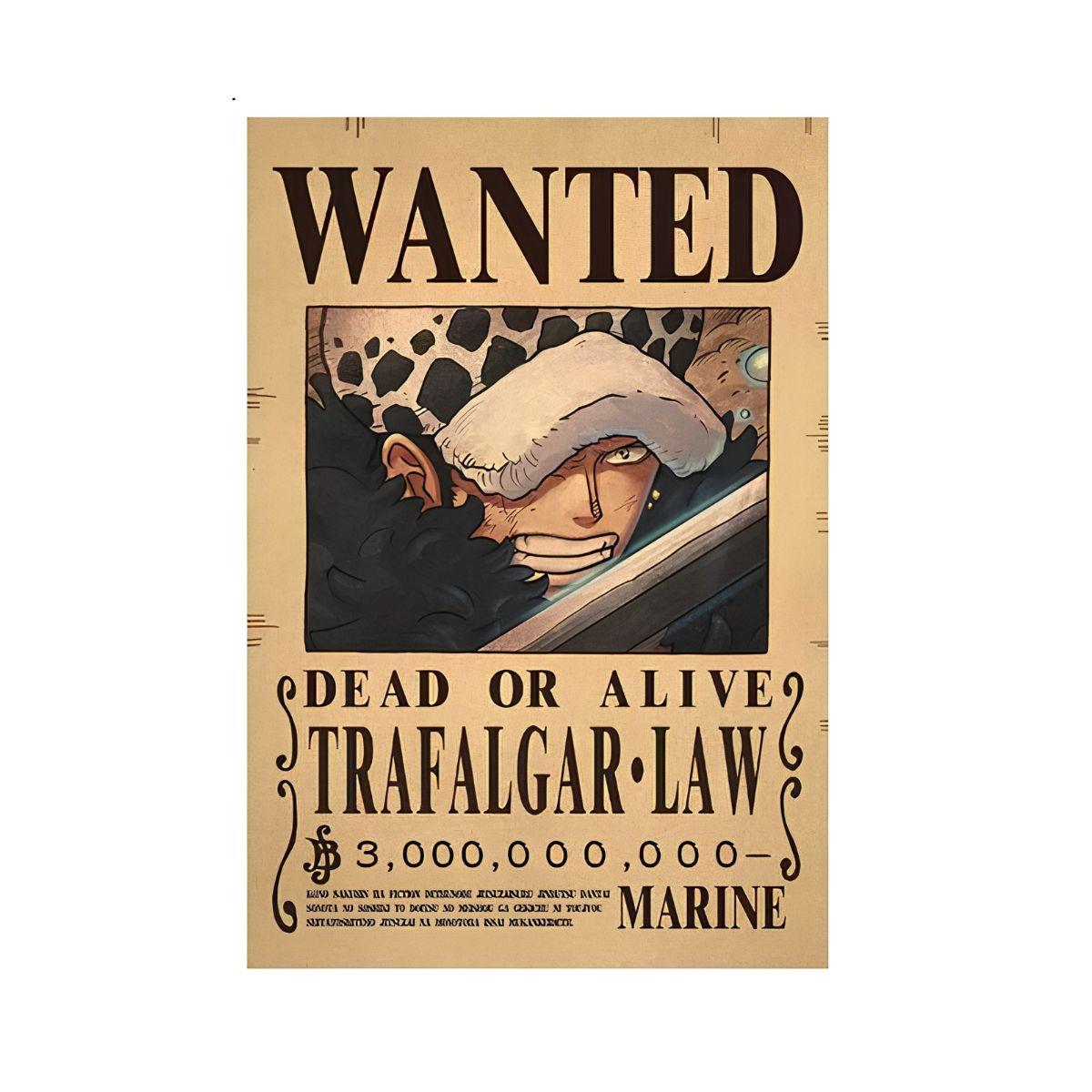 One Piece Wanted Poster