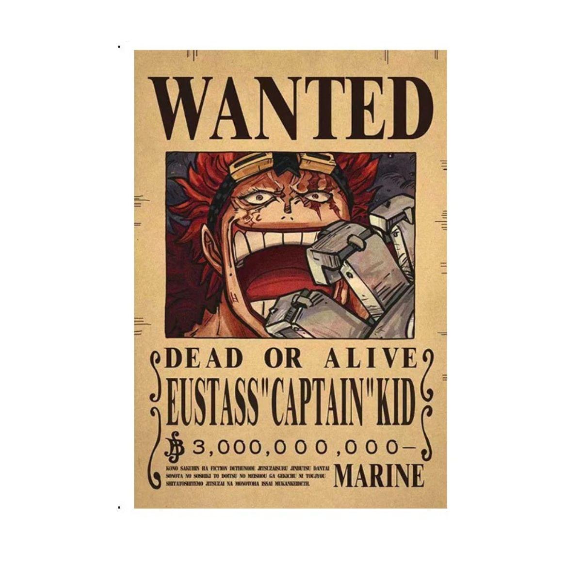 One Piece Wanted Poster
