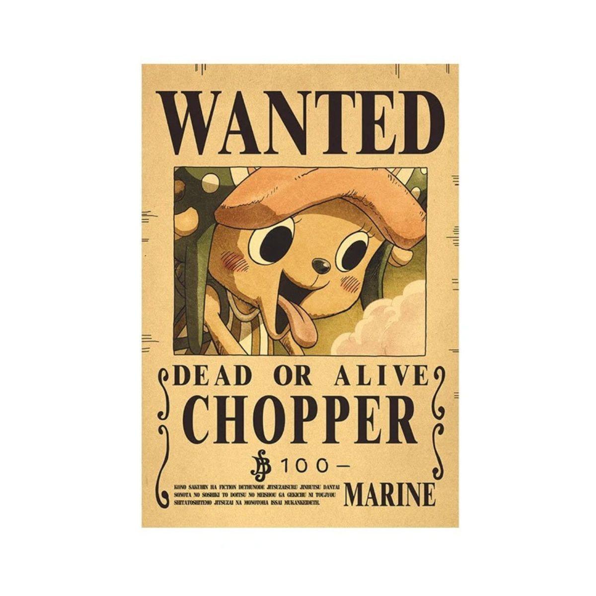 One Piece Wanted Poster