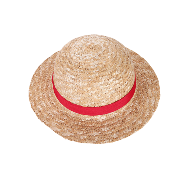 One Piece Straw Hat